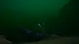 Hydrothermal Vent Garden — region reference
